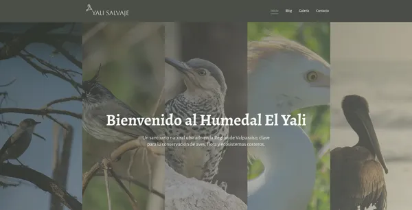 Diseño web para Yali Salvaje